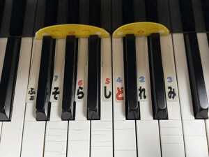 IMG_2104.jpeg